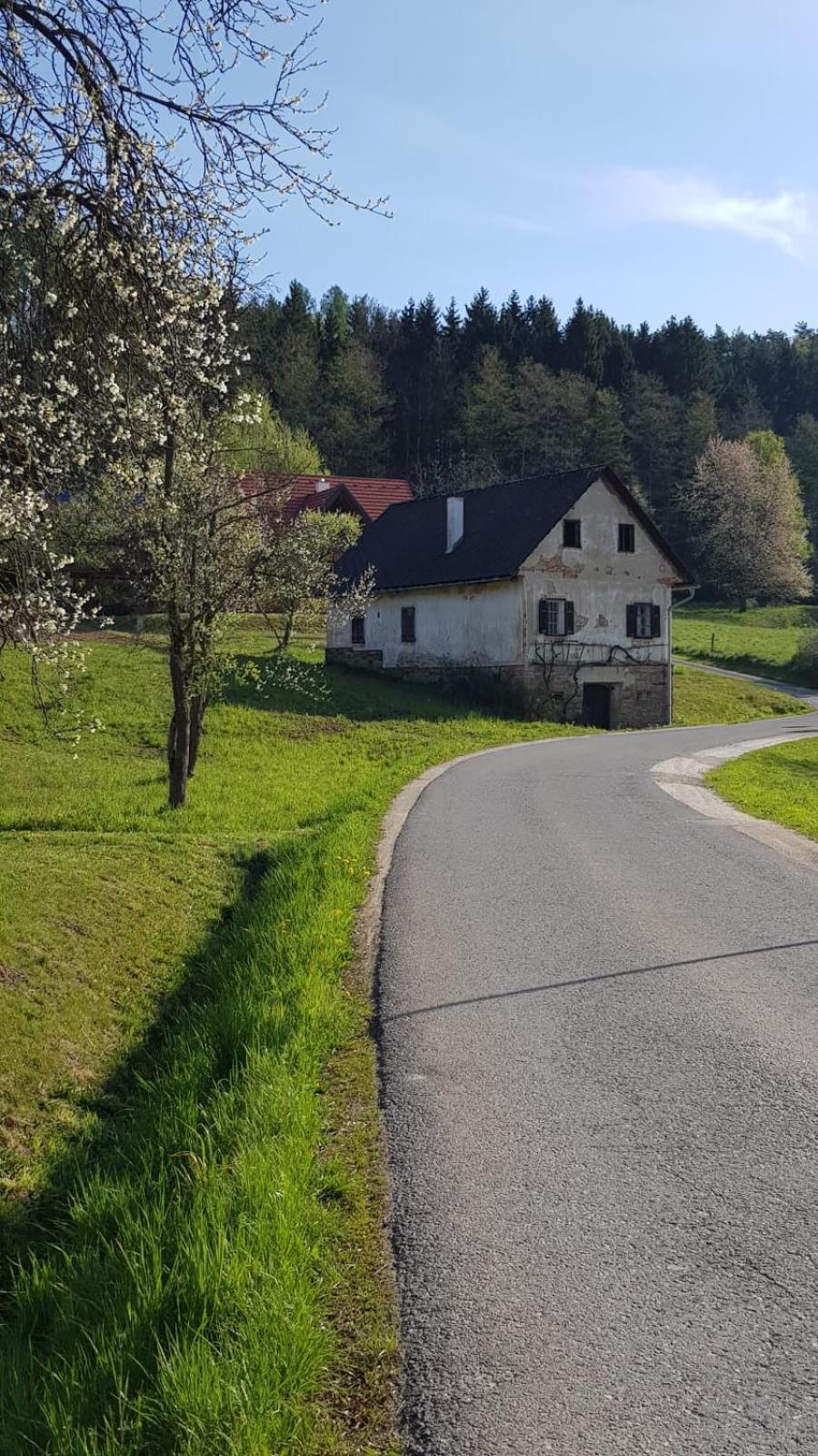 Villa Presshaus Alte Muehle à Stainz Extérieur photo