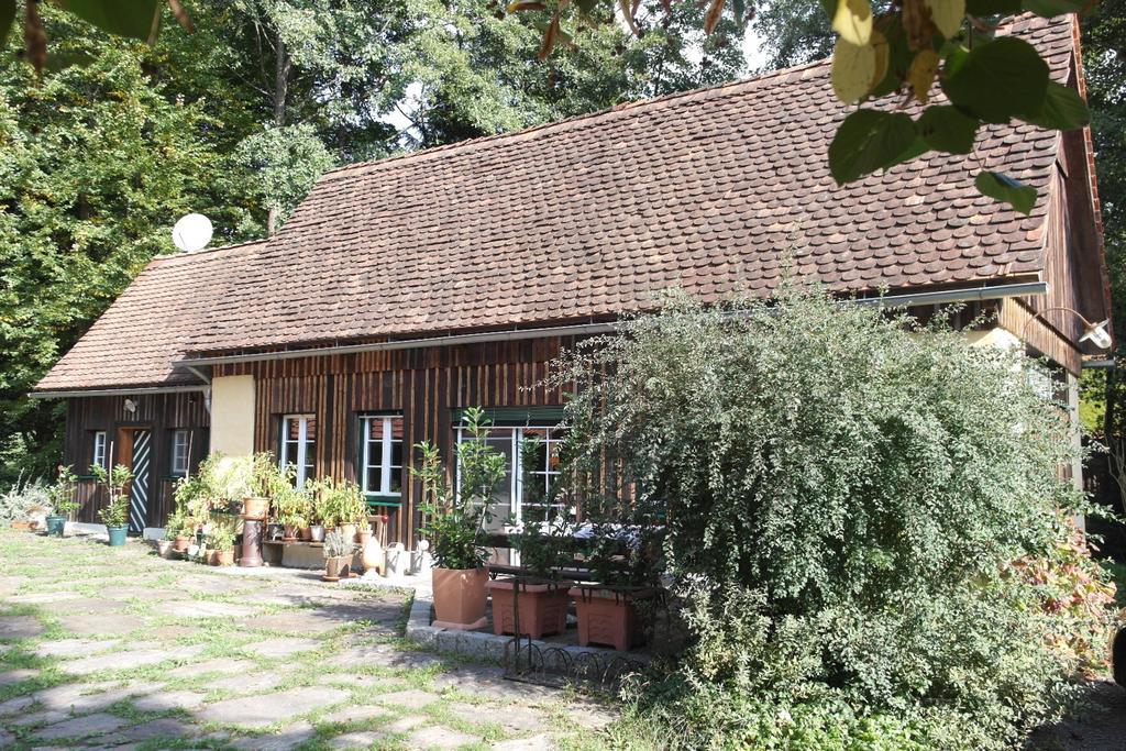 Villa Presshaus Alte Muehle à Stainz Extérieur photo